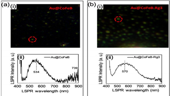 60981c0c81f3ba8f750464a4db926da6.png 2_副本.png